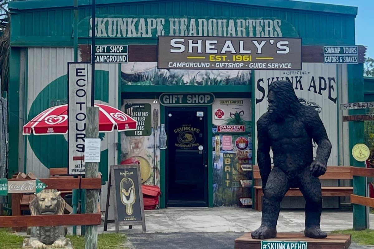 Florida8217s-Secret-Skunk-Ape-Research-Base floridas-secret-skunk-ape-research-base