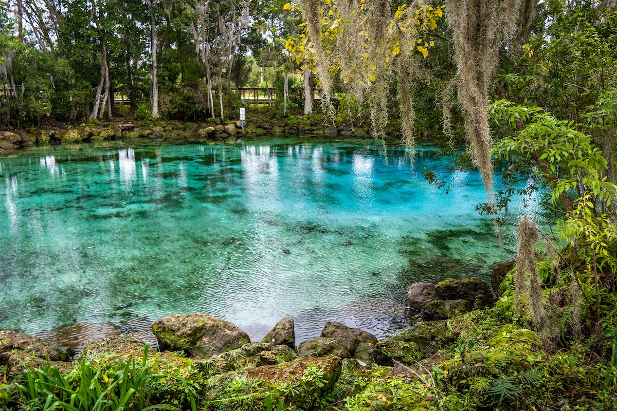 floridas-secret-three-sisters-springs-and-manatee-haven
