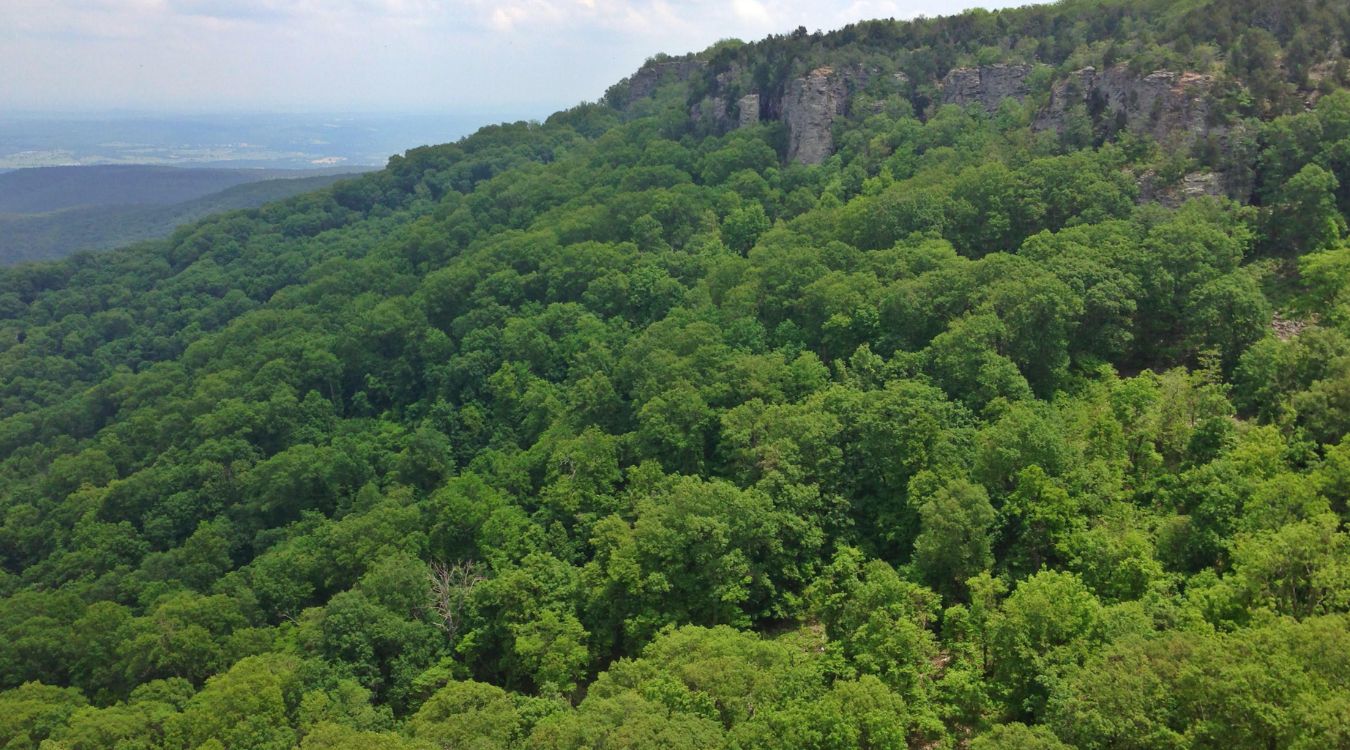 Ghost-Camps-Of-Arkansas8217-Mount-Magazine ghost-camps-of-arkansas-mount-magazine