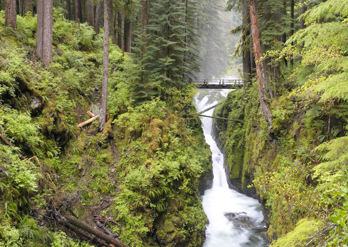 ghost-camps-of-washingtons-olympic