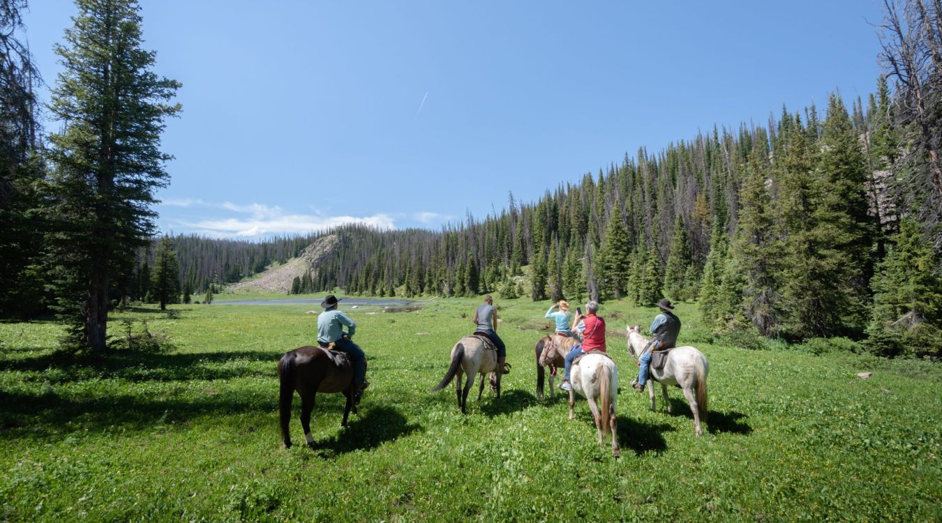 ghost-ranches-of-wyomings-medicine-bow
