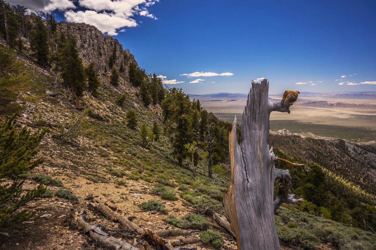 Hidden-Arrowhead-Fields-Of-Nevada8217s-Great-Basin hidden-arrowhead-fields-of-nevadas-great-basin