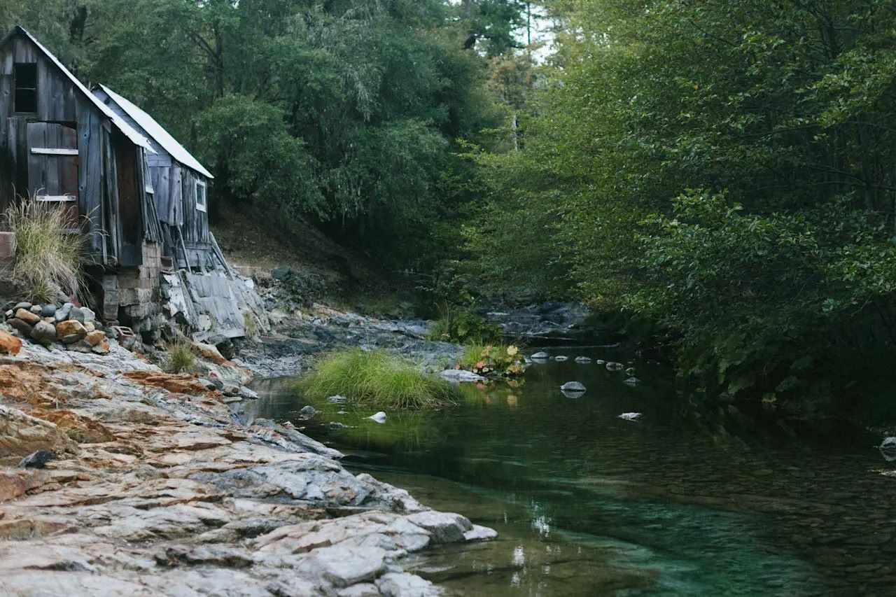 Hidden-Camps-Of-California8217s-Trinity hidden-camps-of-californias-trinity