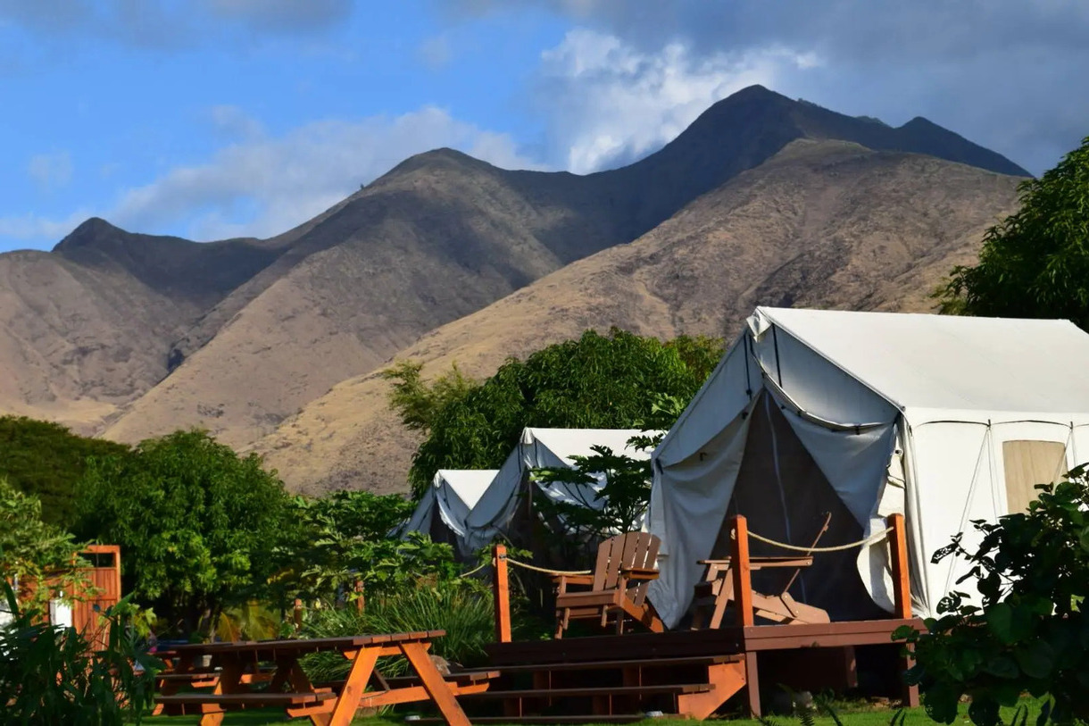 hidden-camps-of-hawaiis-kokee