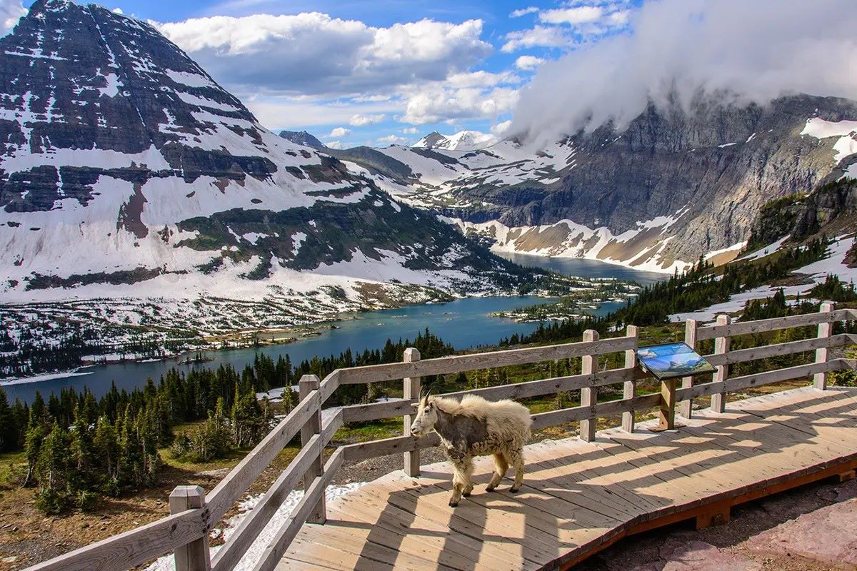 hidden-camps-of-montanas-glacier