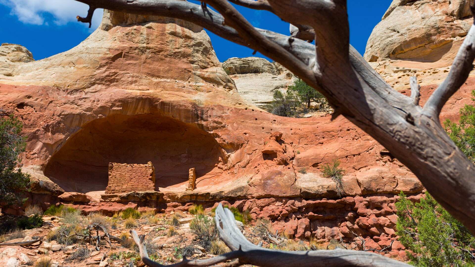 hidden-cave-art-of-colorados-canyons-of-the-ancients