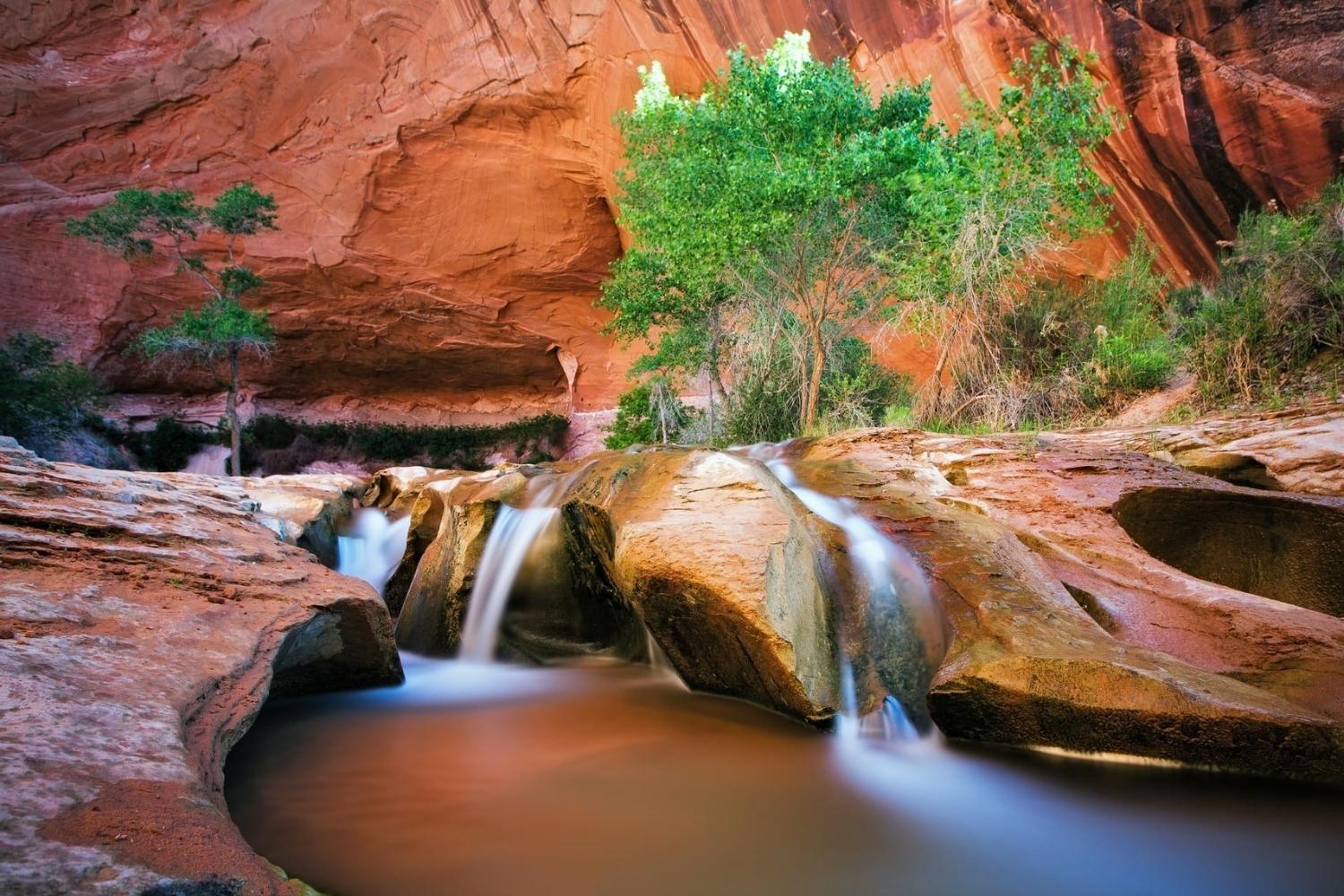 Hidden-Desert-Springs-Of-Utah8217s-Escalante hidden-desert-springs-of-utahs-escalante