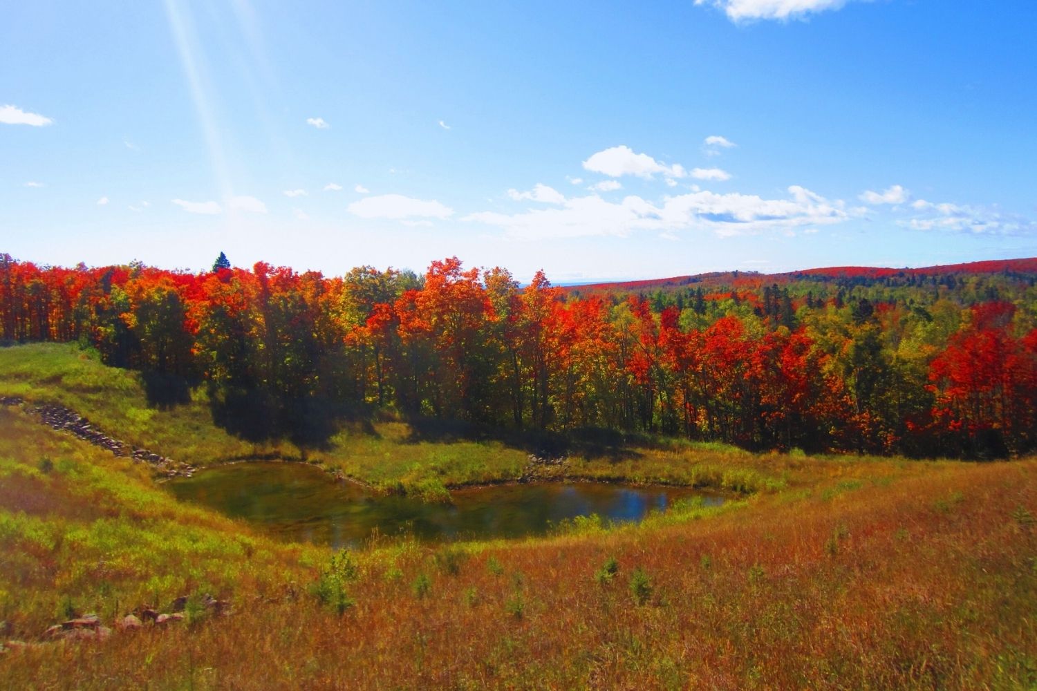hidden-forest-glades-of-minnesotas-superior