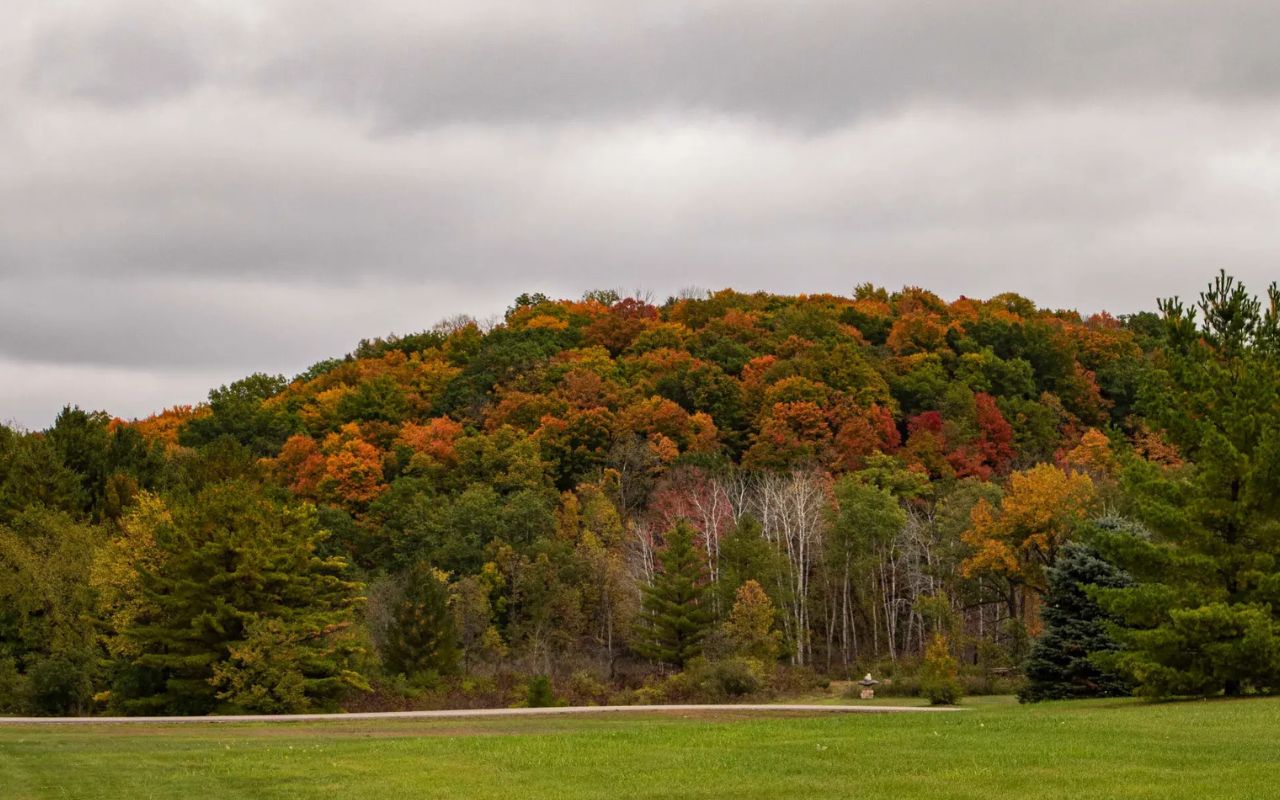 hidden-forest-glades-of-wisconsins-kettle-moraine