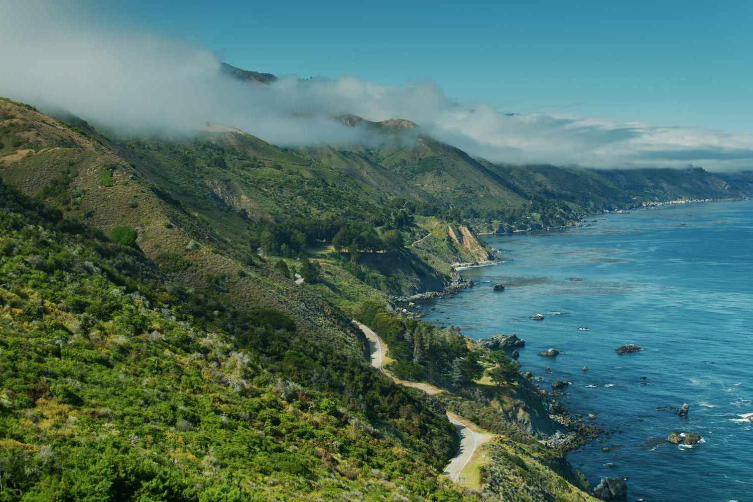 Hidden-Forest-Groves-Of-California8217s-Big-Sur hidden-forest-groves-of-californias-big-sur