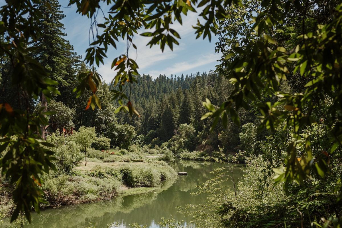 Hidden-Forest-Groves-Of-California8217s-Russian hidden-forest-groves-of-californias-russian