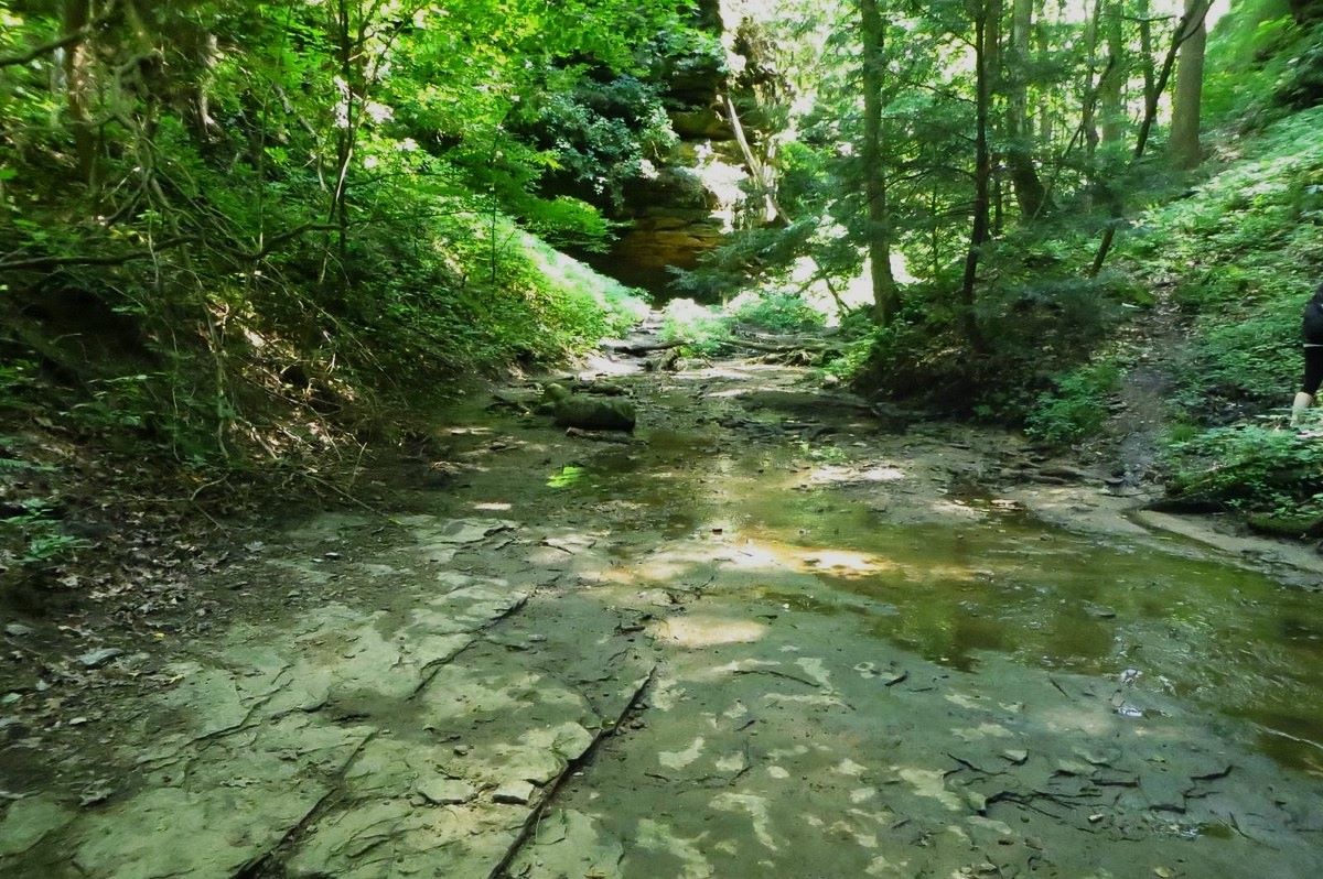 Hidden-Forest-Groves-Of-Indiana8217s-Shades hidden-forest-groves-of-indianas-shades