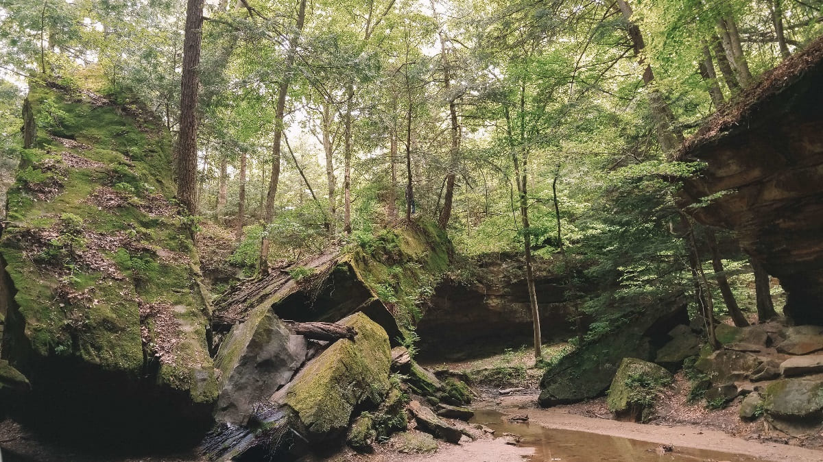 hidden-forest-groves-of-indianas-turkey-run