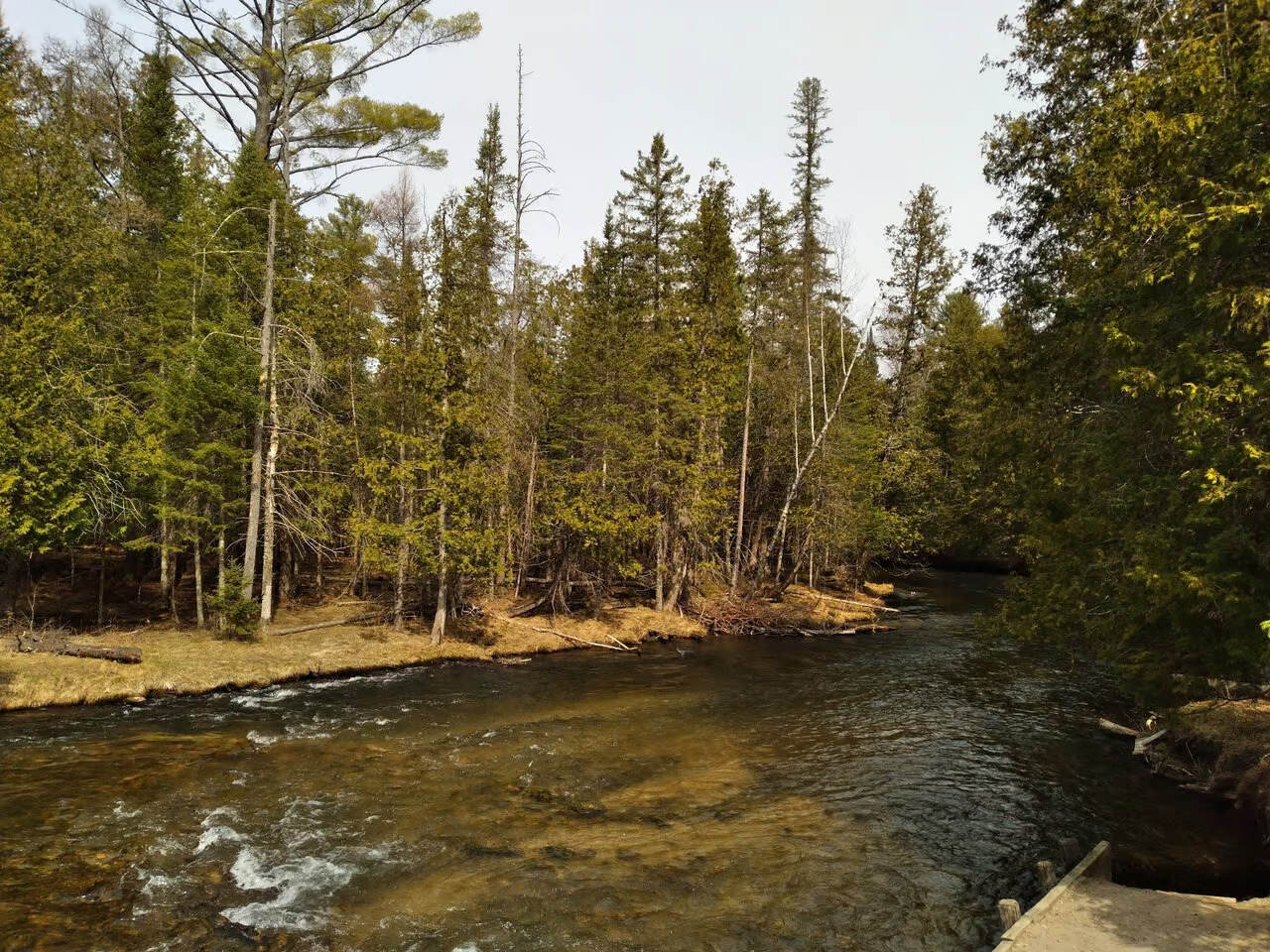 Hidden-Forest-Groves-Of-Michigan8217s-Jordan-River hidden-forest-groves-of-michigans-jordan-river