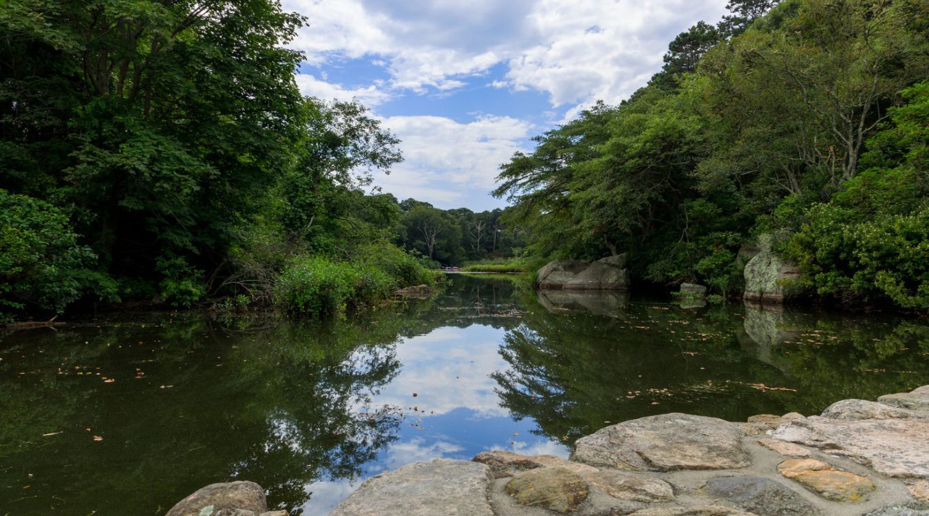 hidden-forest-groves-of-minnesotas-lost-river