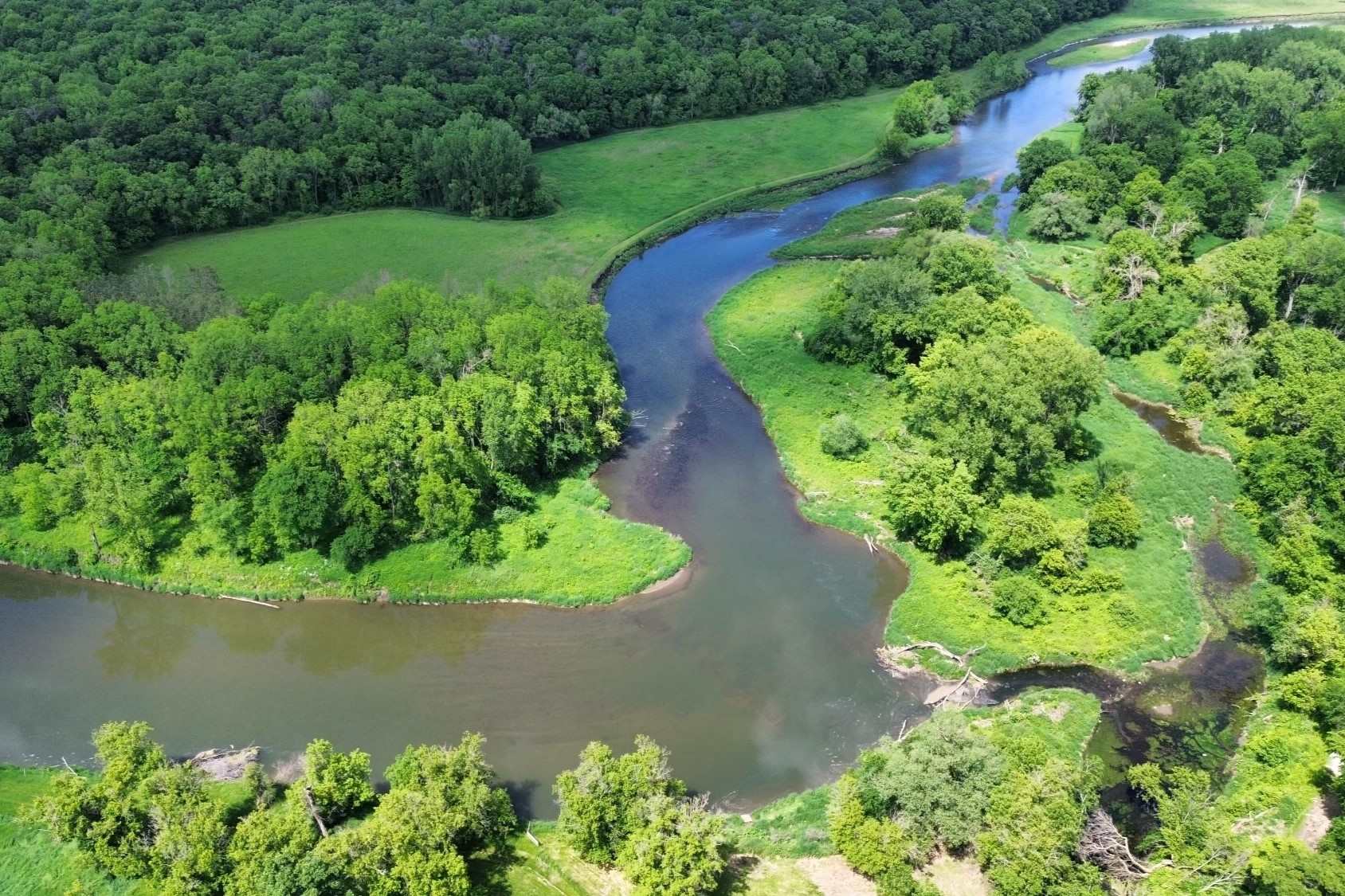 Hidden-Forest-Groves-Of-Minnesota8217s-Root-River hidden-forest-groves-of-minnesotas-root-river