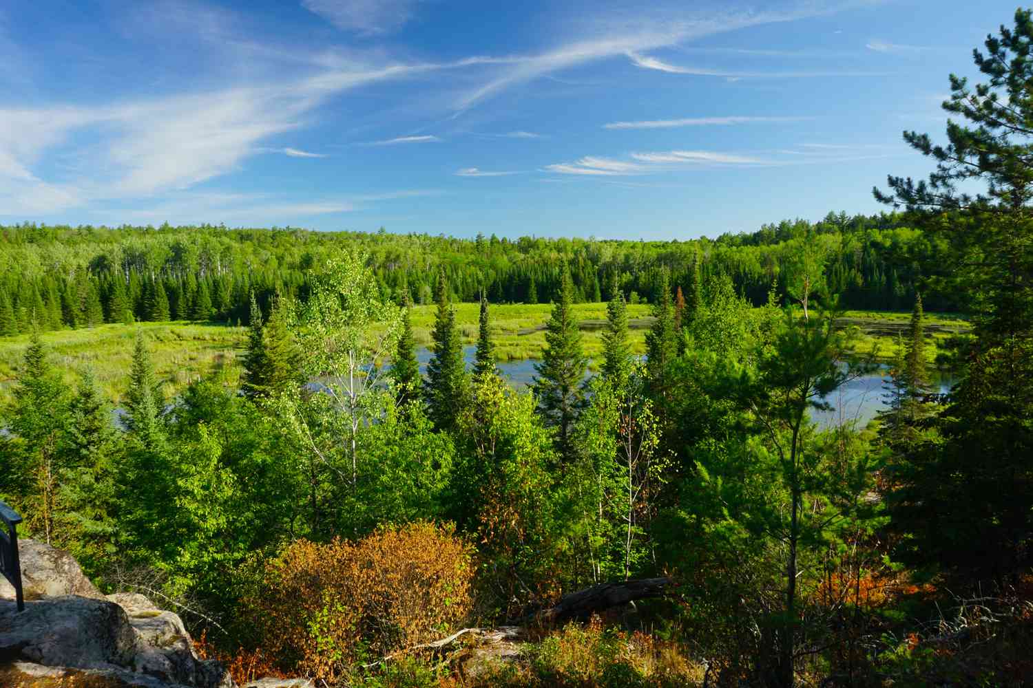 hidden-forest-groves-of-minnesotas-voyageurs
