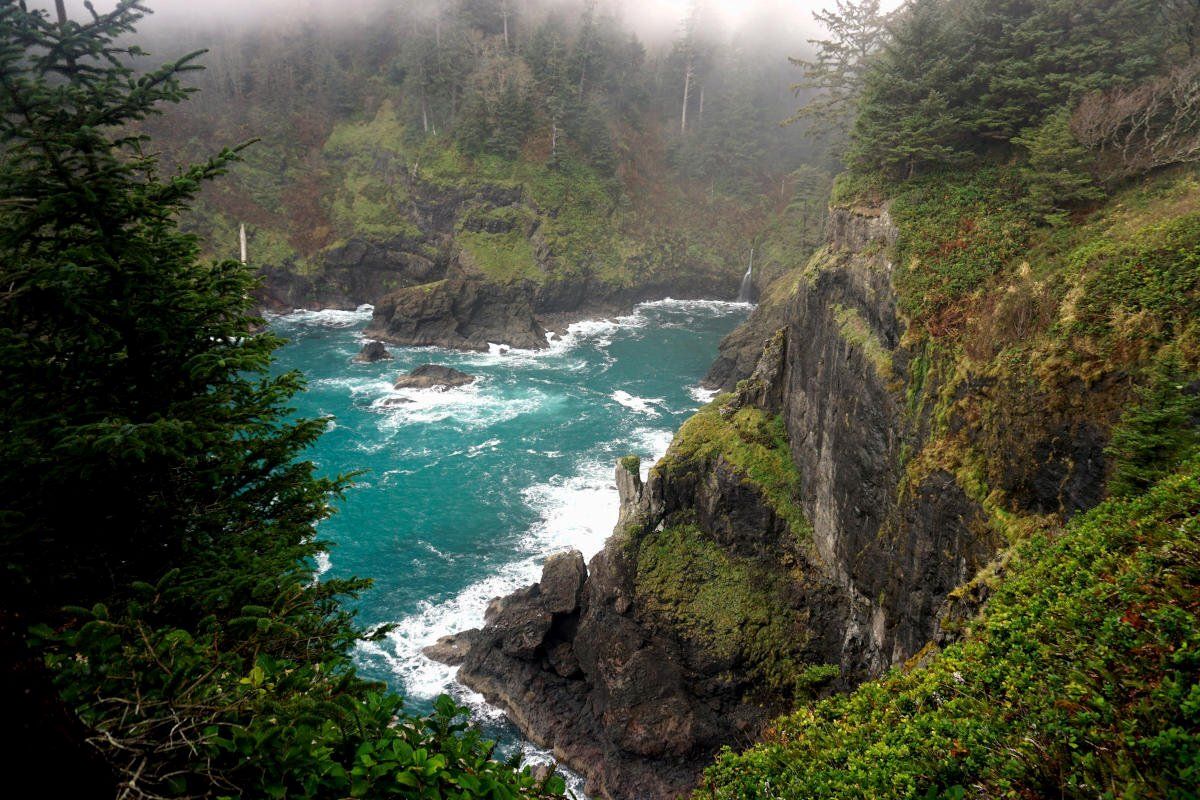 Hidden-Forest-Groves-Of-Oregon8217s-Coast-Range hidden-forest-groves-of-oregons-coast-range