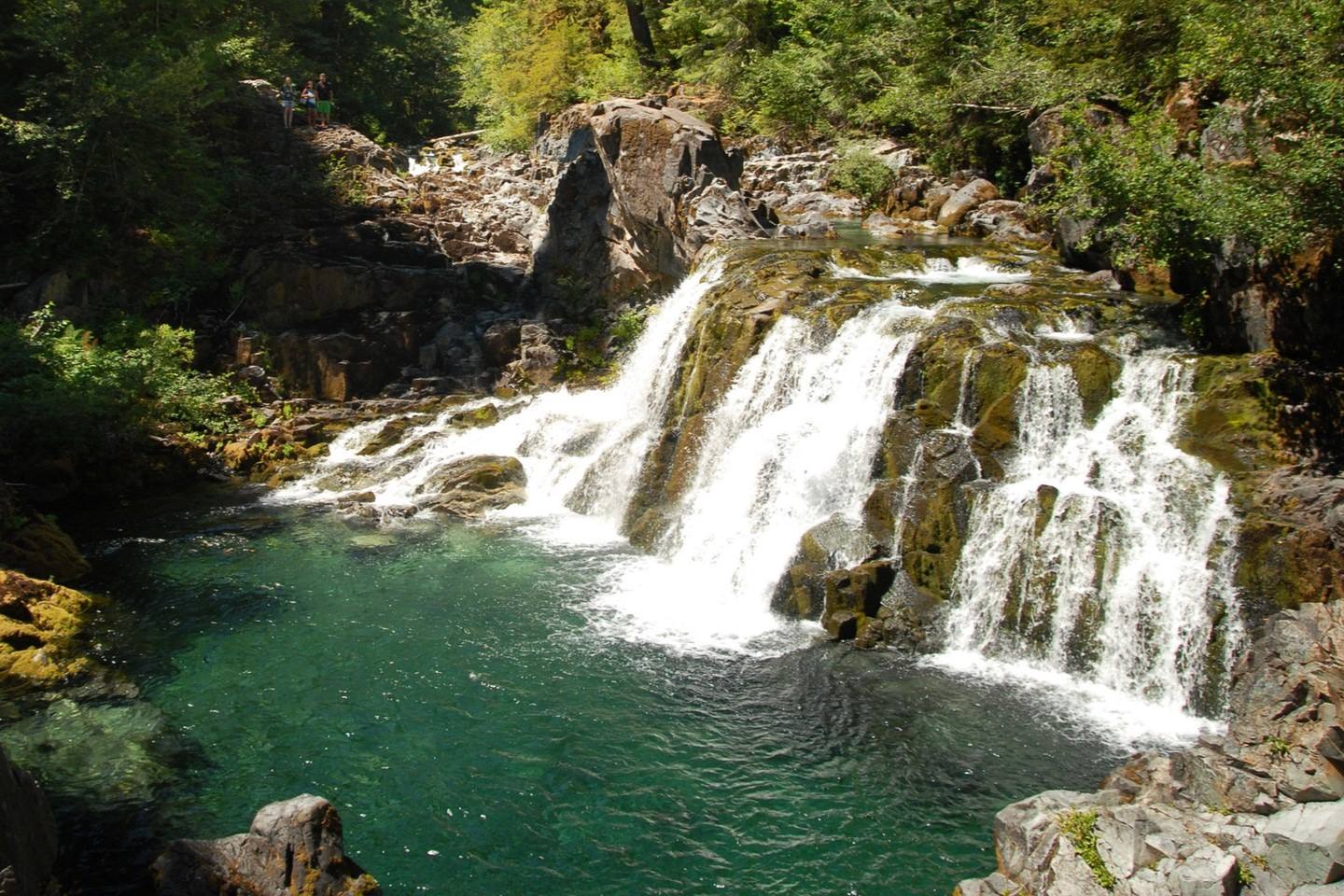 hidden-forest-groves-of-oregons-opal-creek