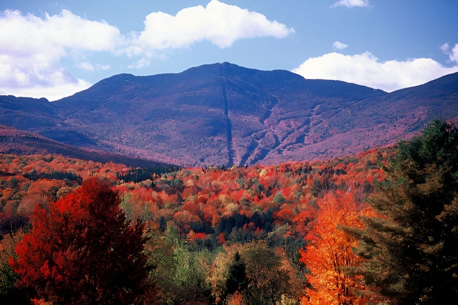 Hidden-Forest-Groves-Of-Vermont8217s-Smugglers-Notch hidden-forest-groves-of-vermonts-smugglers-notch