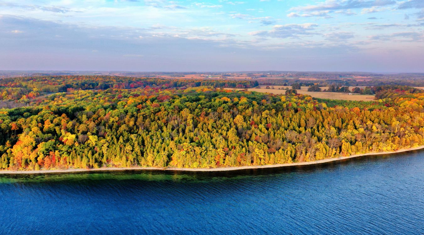hidden-forest-groves-of-wisconsins-peninsula