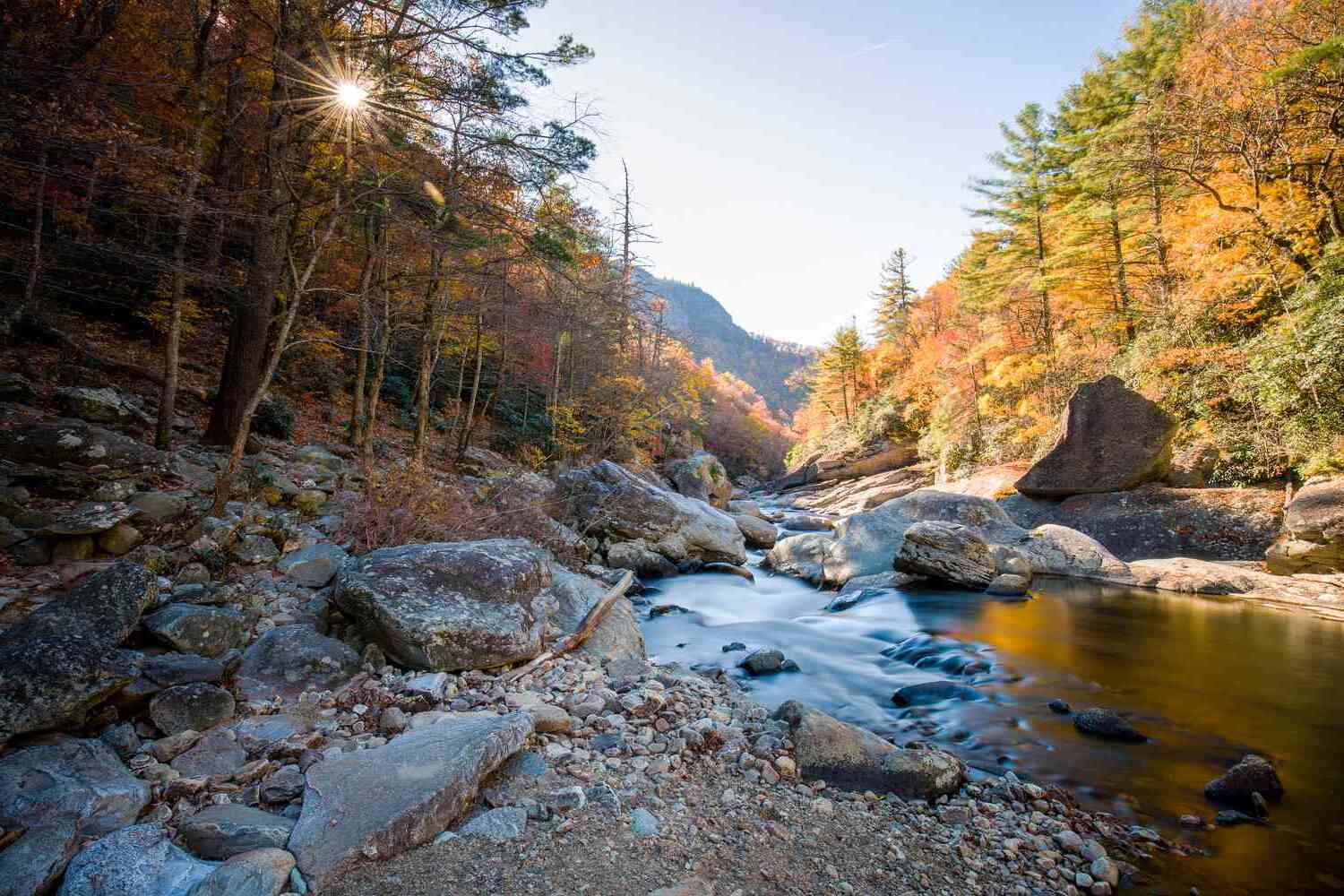 Hidden-Forest-Pools-Of-North-Carolina8217s-Pisgah hidden-forest-pools-of-north-carolinas-pisgah