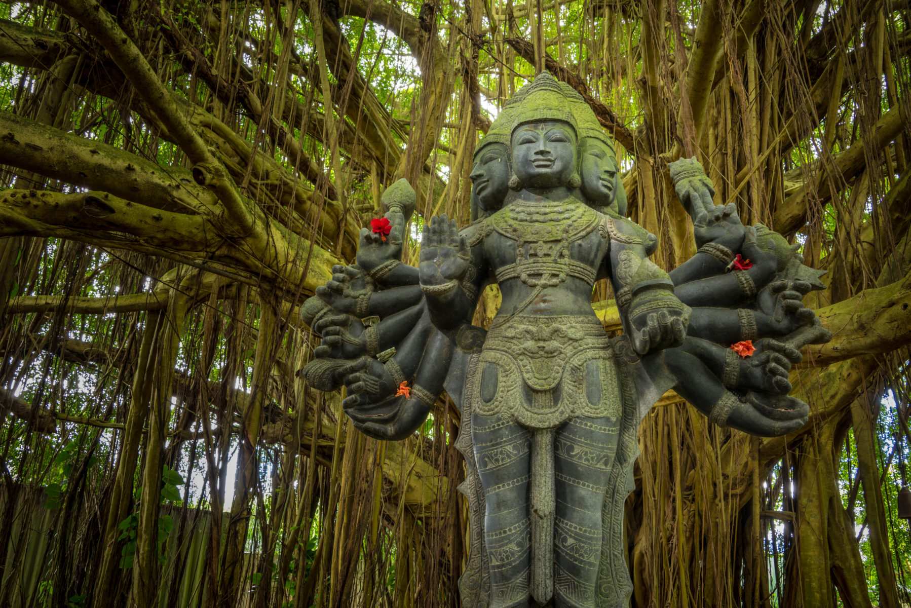 hidden-forest-temples-of-hawaiis-kauai