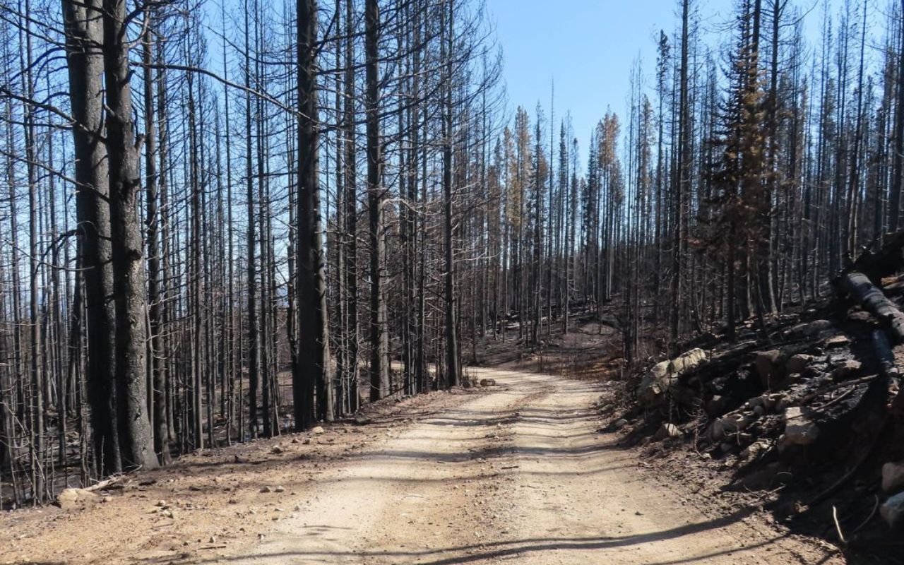 hidden-ghost-camps-of-idahos-magruder-trail