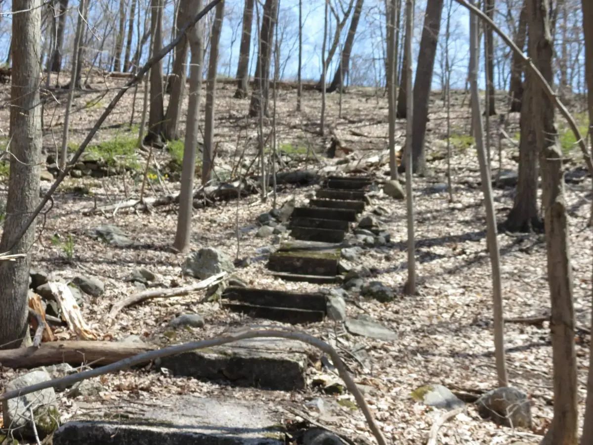 Hidden-History-Of-New-York8217s-Doodletown-Villages hidden-history-of-new-yorks-doodletown-villages