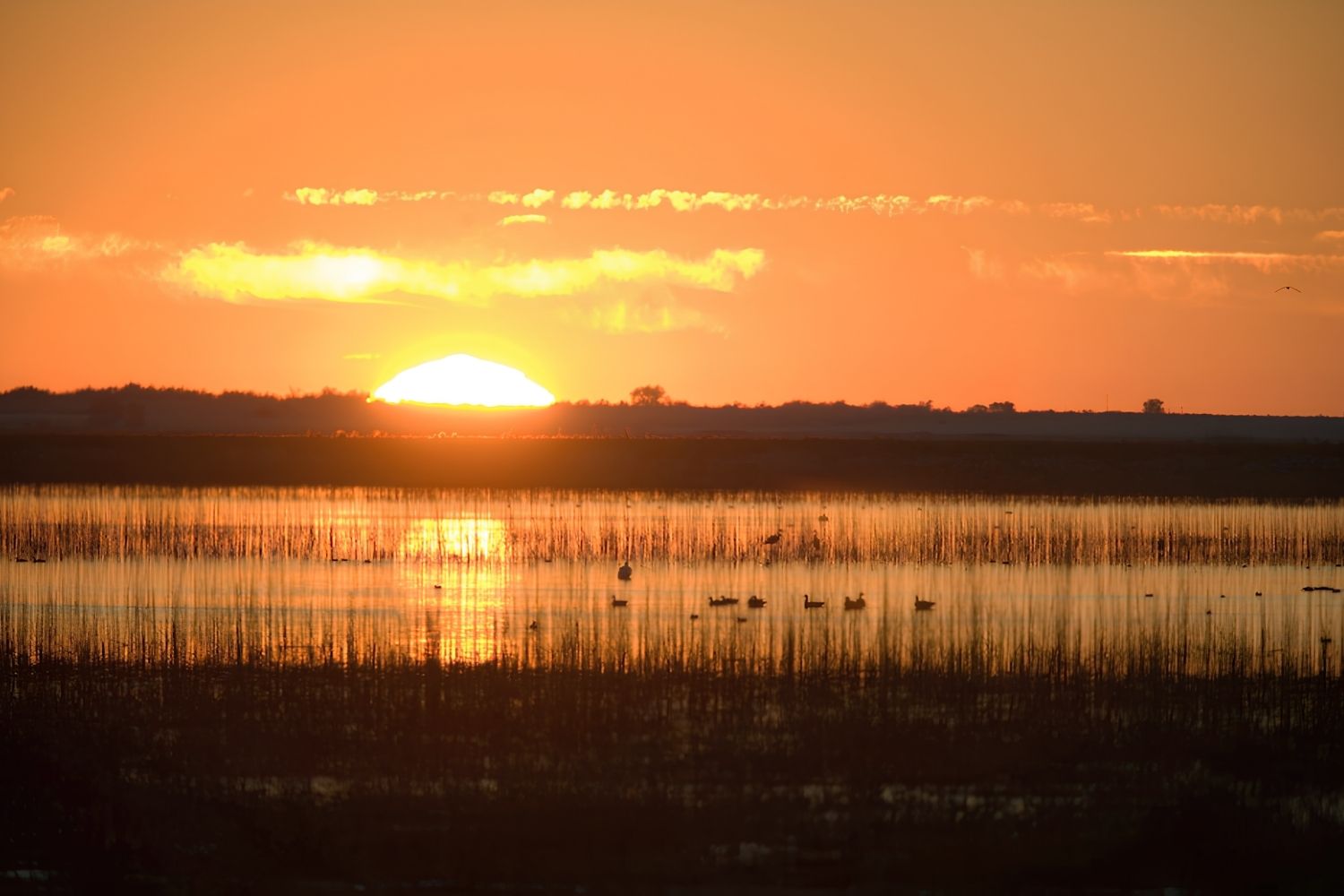hidden-lakes-of-kansas-cheyenne-bottoms