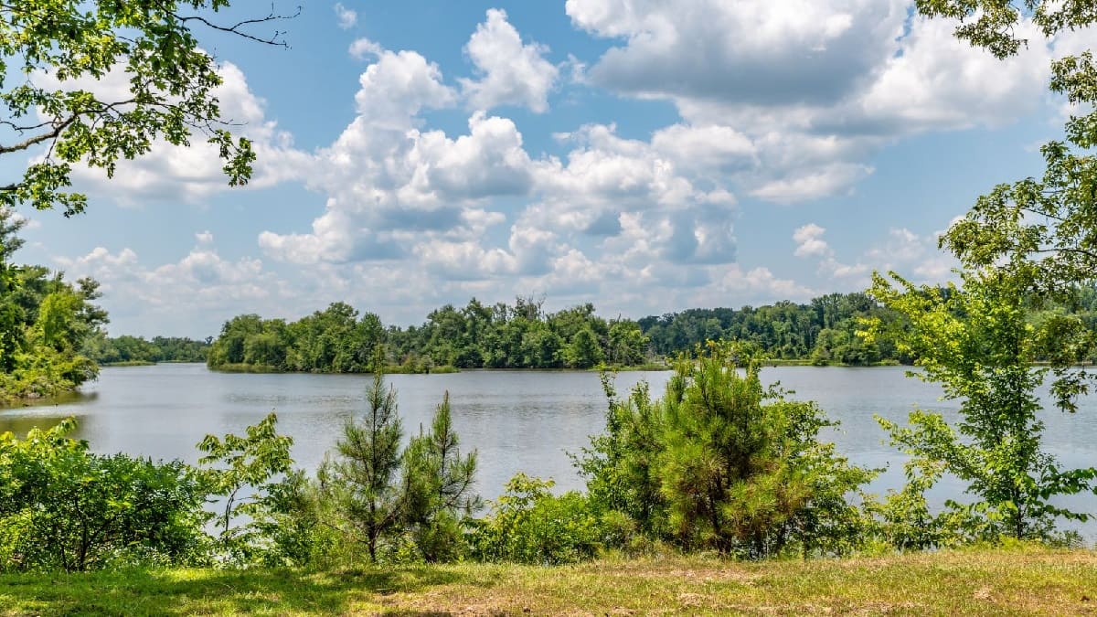 hidden-lakes-of-mississippis-delta