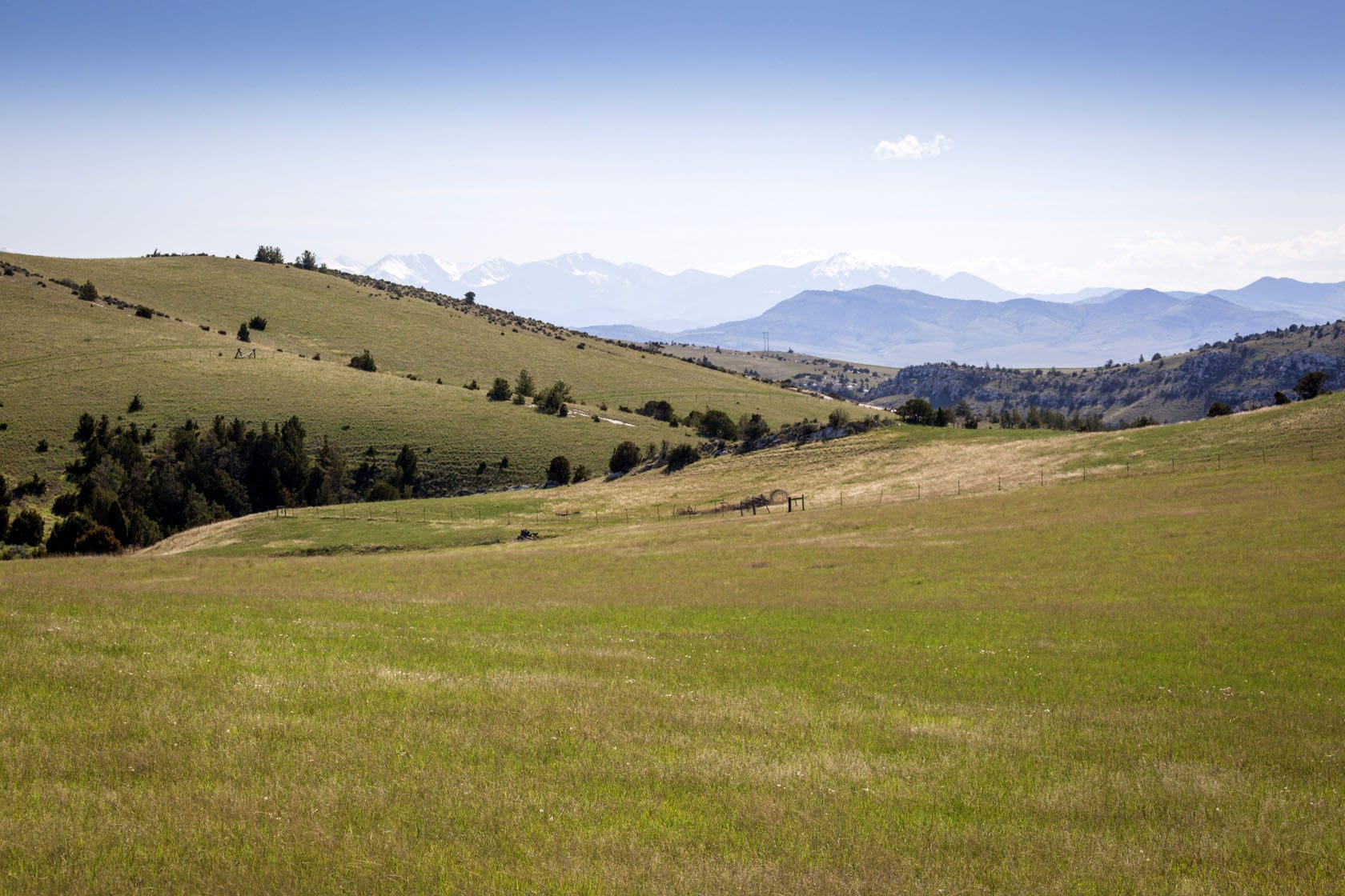 Hidden-Medicine-Trees-Of-Montana8217s-Crazy-Mountains hidden-medicine-trees-of-montanas-crazy-mountains