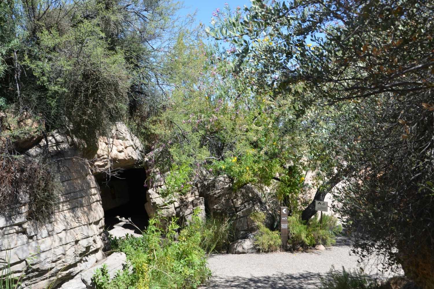 Hidden-Moonflower-Caves-Of-Arizona8217s-Sonoran hidden-moonflower-caves-of-arizonas-sonoran