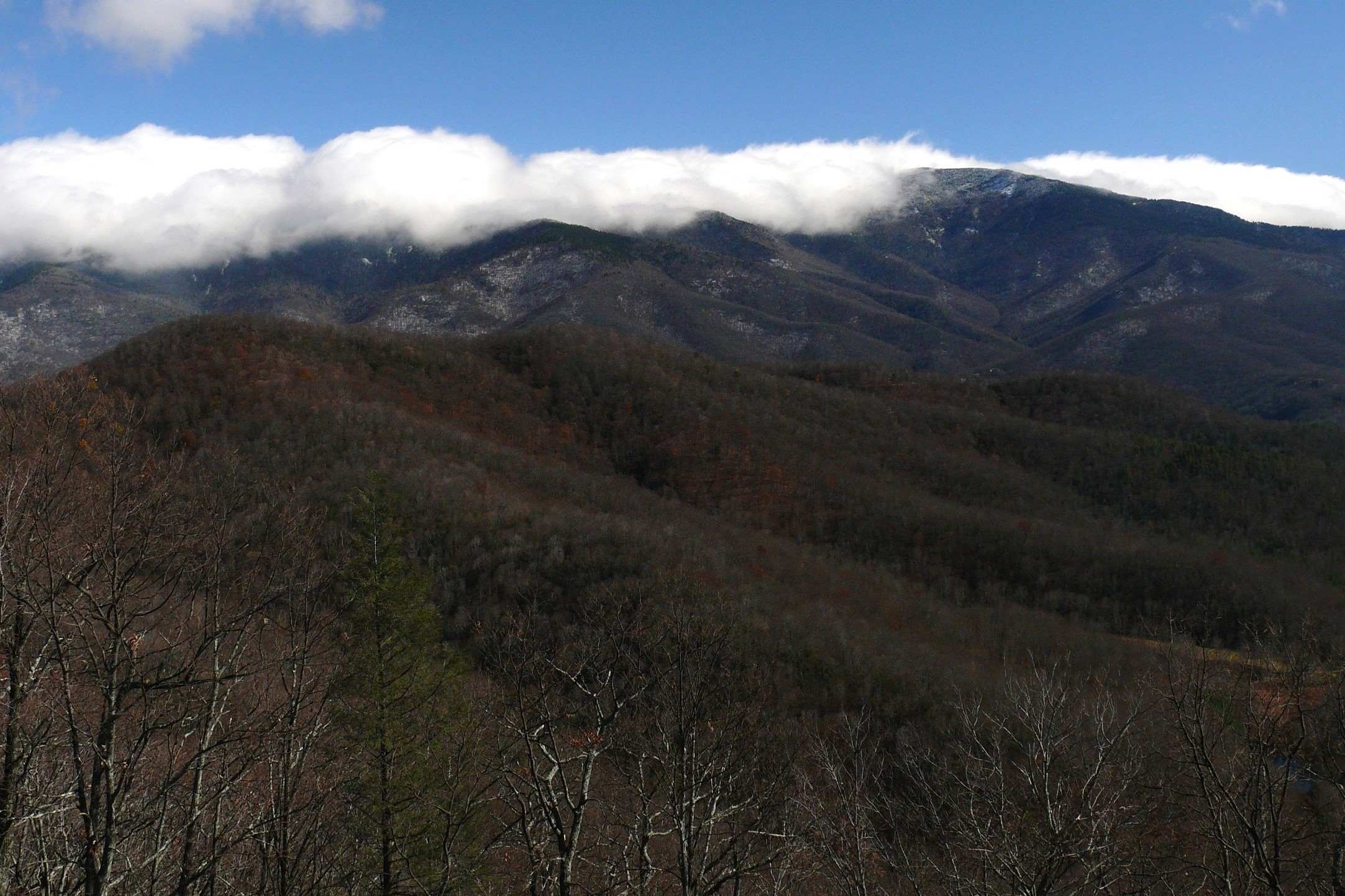 hidden-mysteries-of-black-mountain-north-carolina-forest