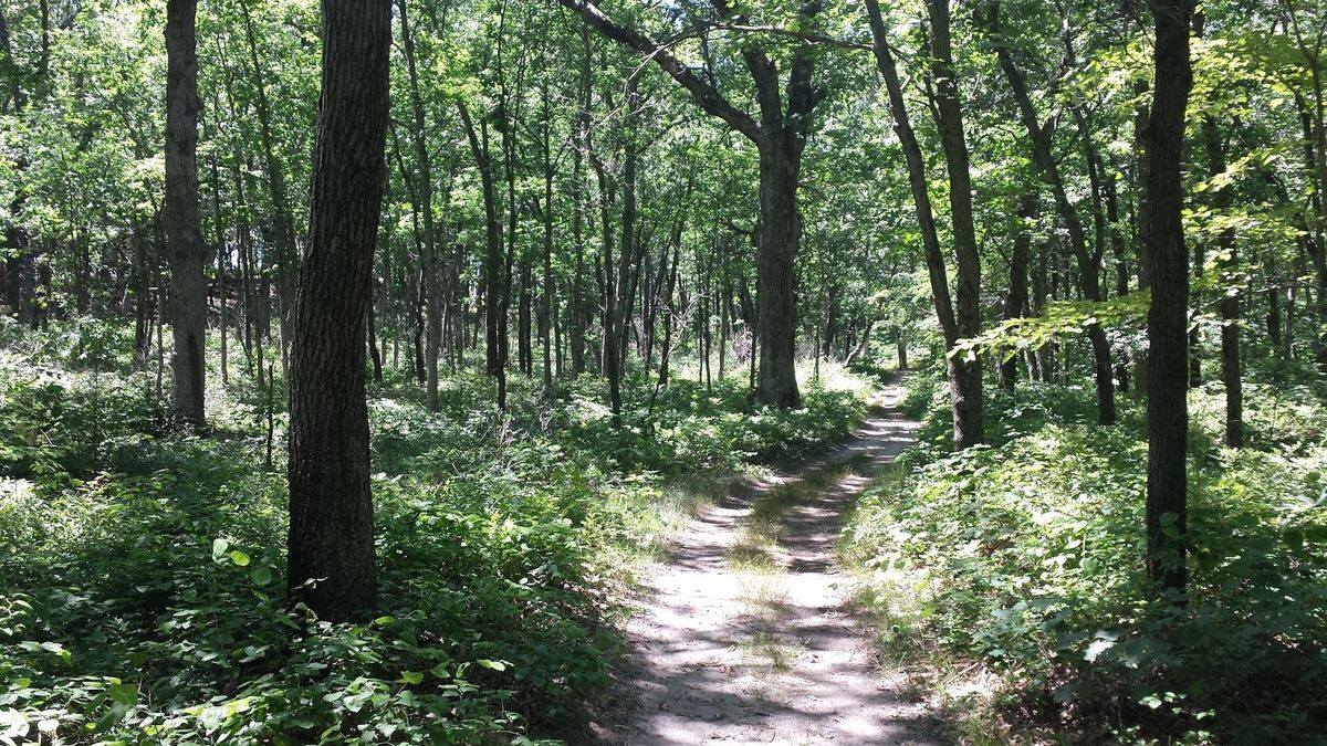 hidden-paths-of-indianas-dunes