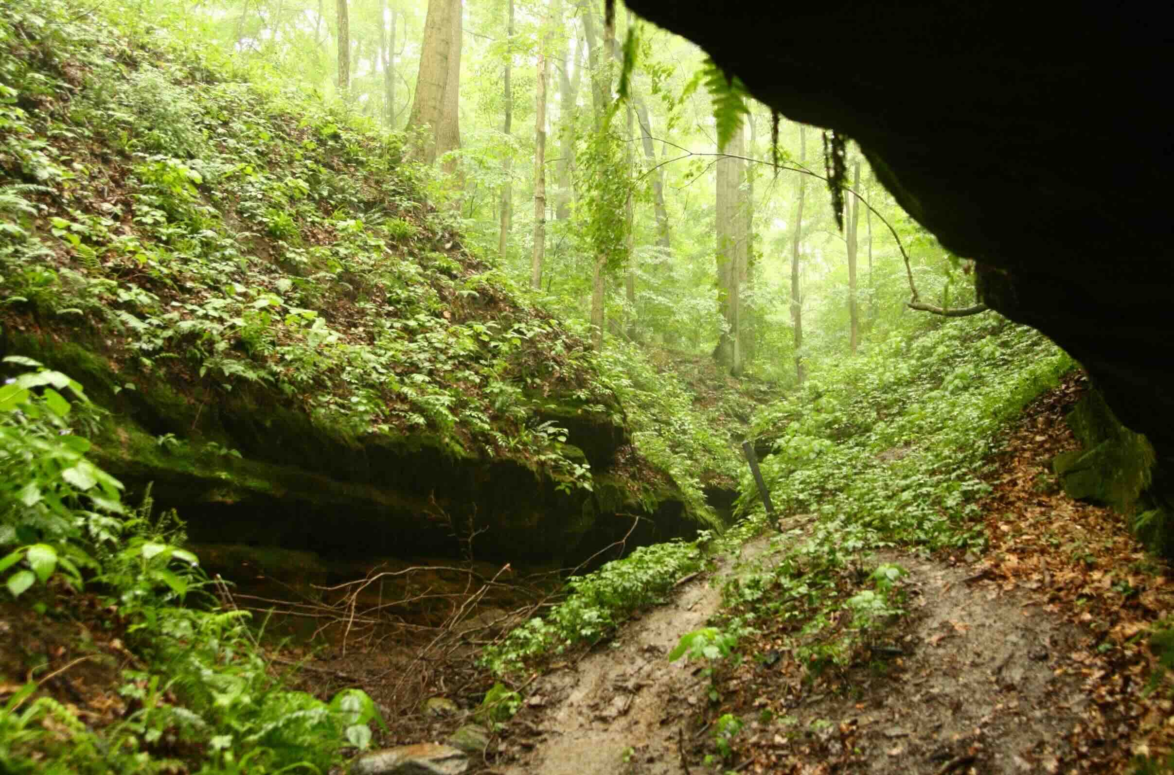 hidden-paths-of-indianas-shades-state-park