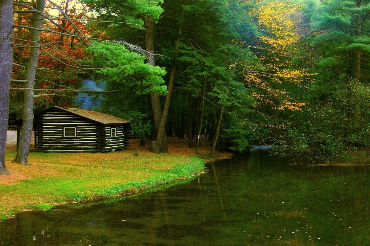 hidden-paths-of-pennsylvanias-cook-forest