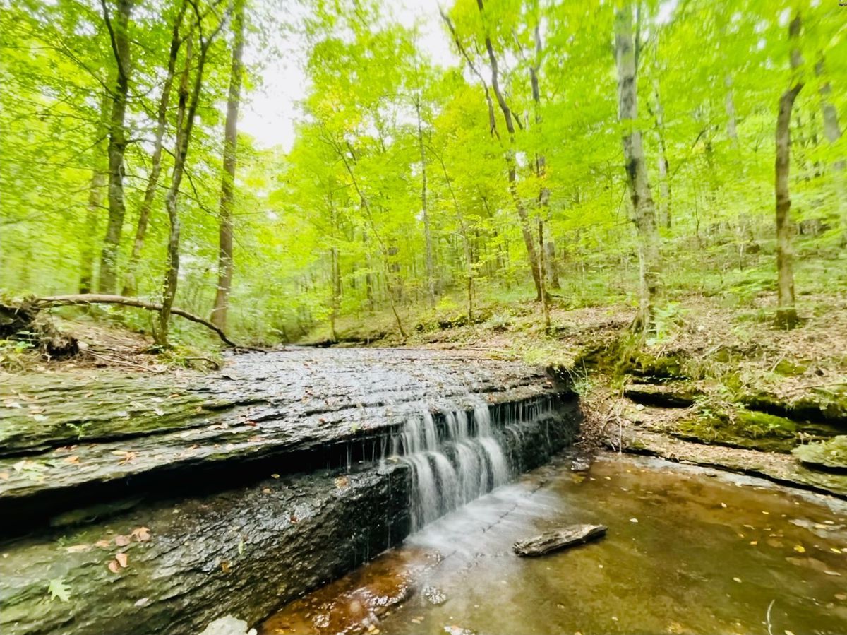 Hidden-Paths-Of-Tennessee8217s-Stillhouse hidden-paths-of-tennessees-stillhouse