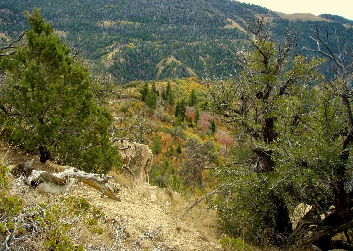 Hidden-Paths-Of-Utah8217s-Price hidden-paths-of-utahs-price