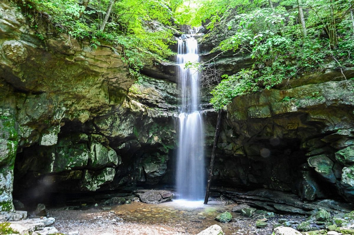 Hidden-Pools-Of-Louisiana8217s-Kisatchie hidden-pools-of-louisianas-kisatchie