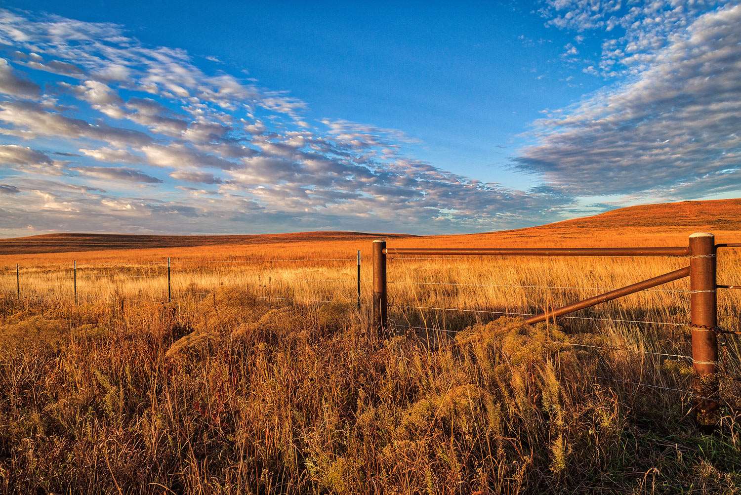 Hidden-Prairie-Paths-Of-Kansas8217-Tallgrass hidden-prairie-paths-of-kansas-tallgrass