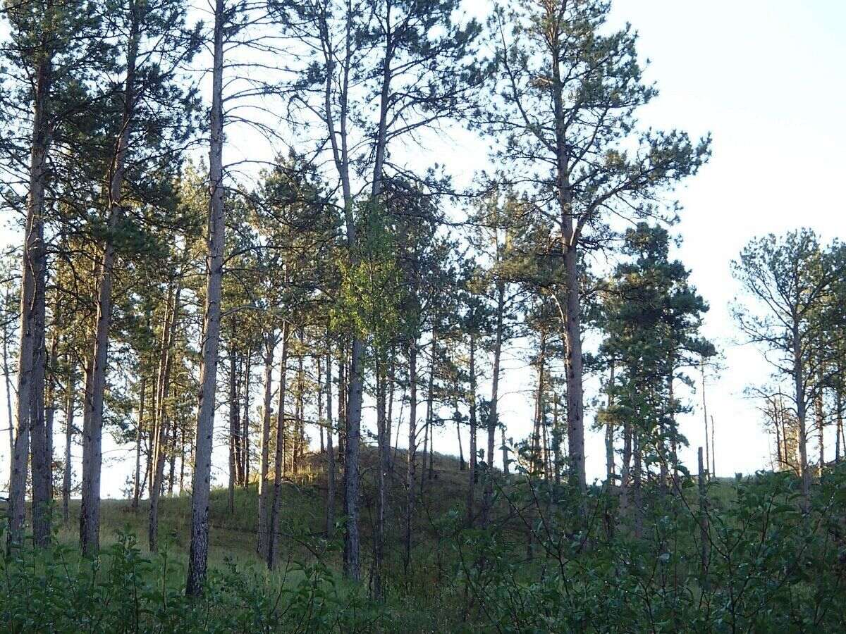 Hidden-Prairie-Paths-Of-Nebraska8217s-Pine-Ridge hidden-prairie-paths-of-nebraskas-pine-ridge
