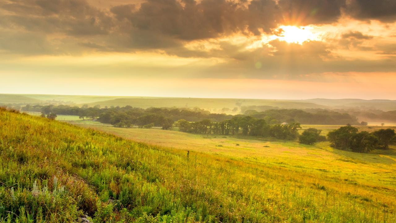 hidden-prairie-paths-of-oklahomas-tall-grass