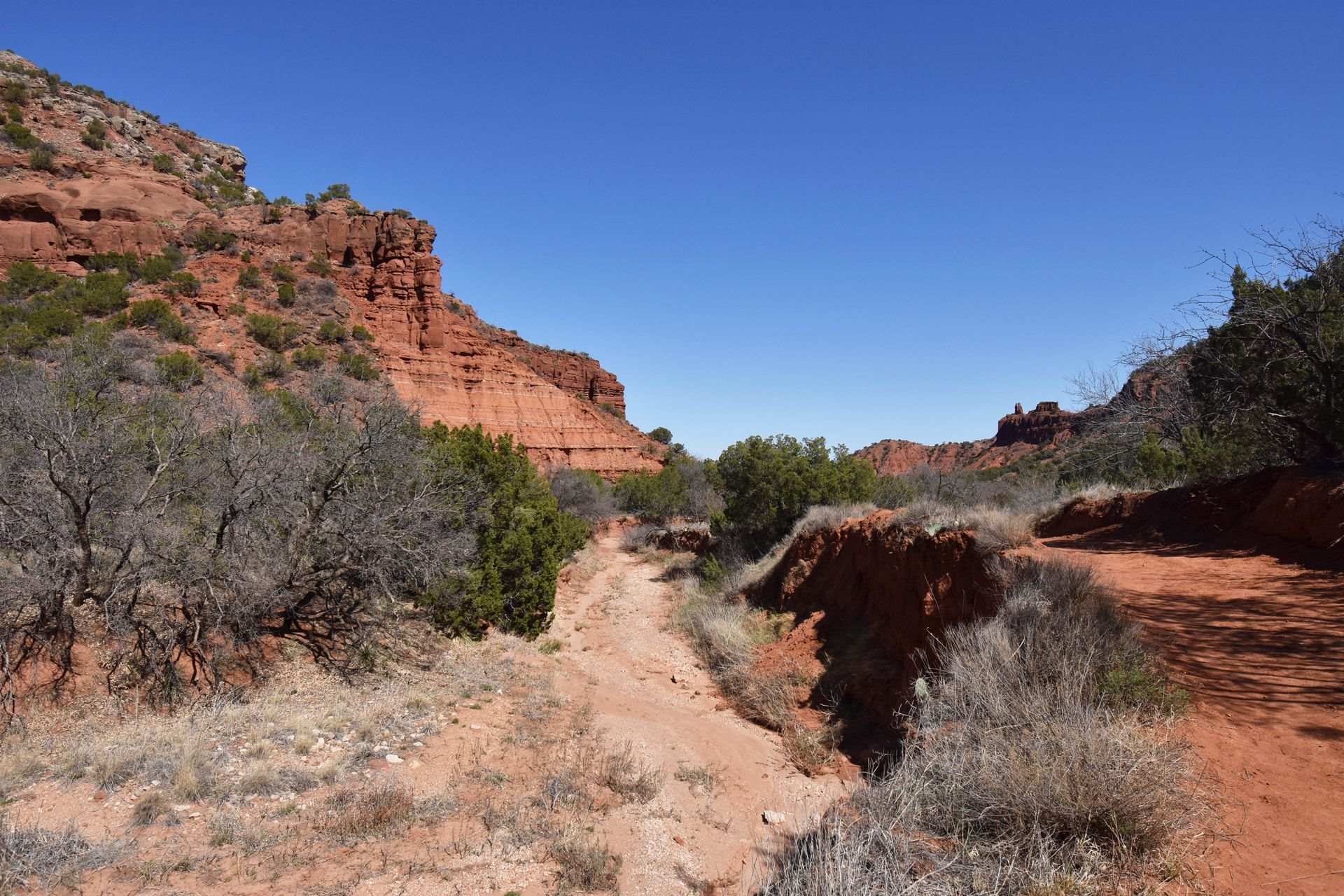 hidden-prairie-paths-of-texas-caprock