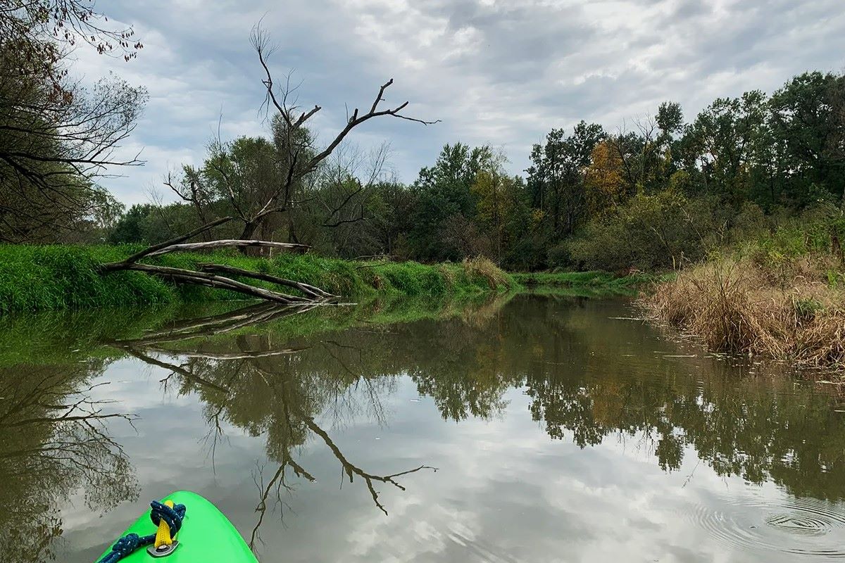 hidden-prairie-wetlands-of-illinois-des-plaines