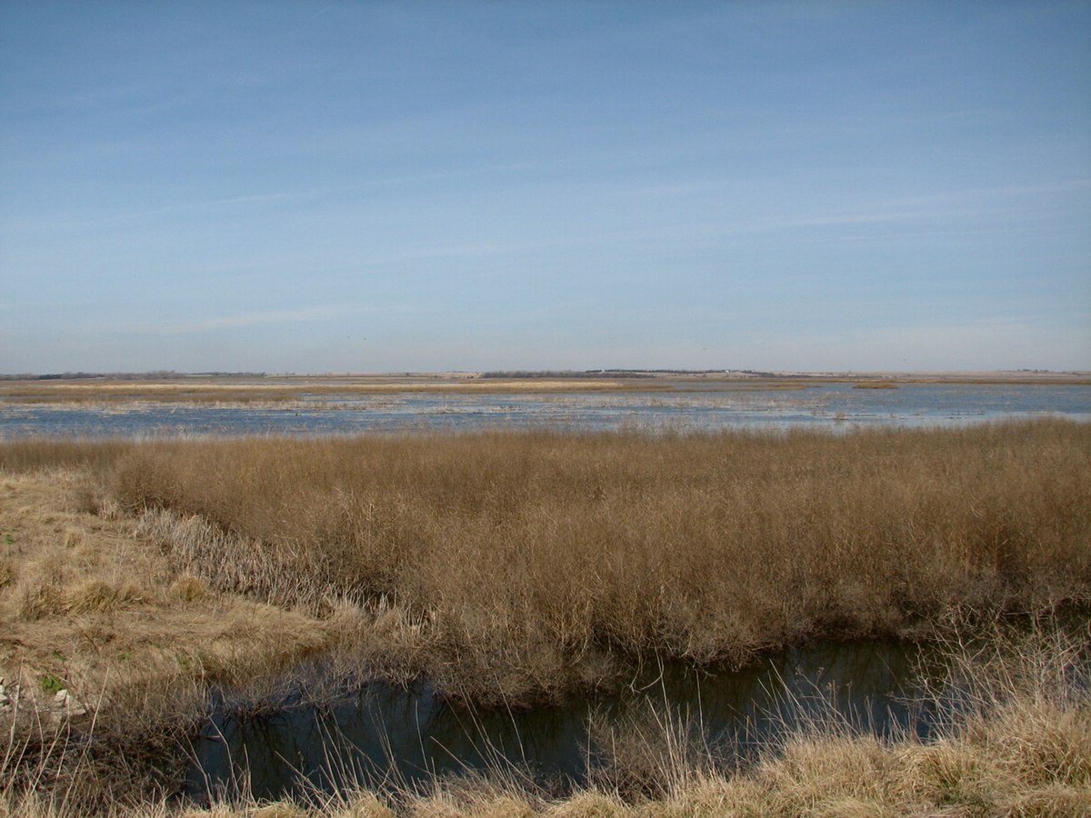 hidden-prairie-wetlands-of-kansas-cheyenne