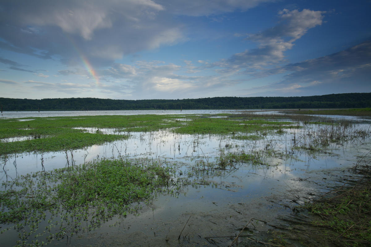 hidden-prairie-wetlands-of-kansas-marais-des-cygnes