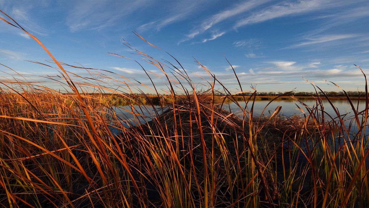 Hidden-Prairie-Wetlands-Of-Nebraska8217s-Platte-Valley hidden-prairie-wetlands-of-nebraskas-platte-valley
