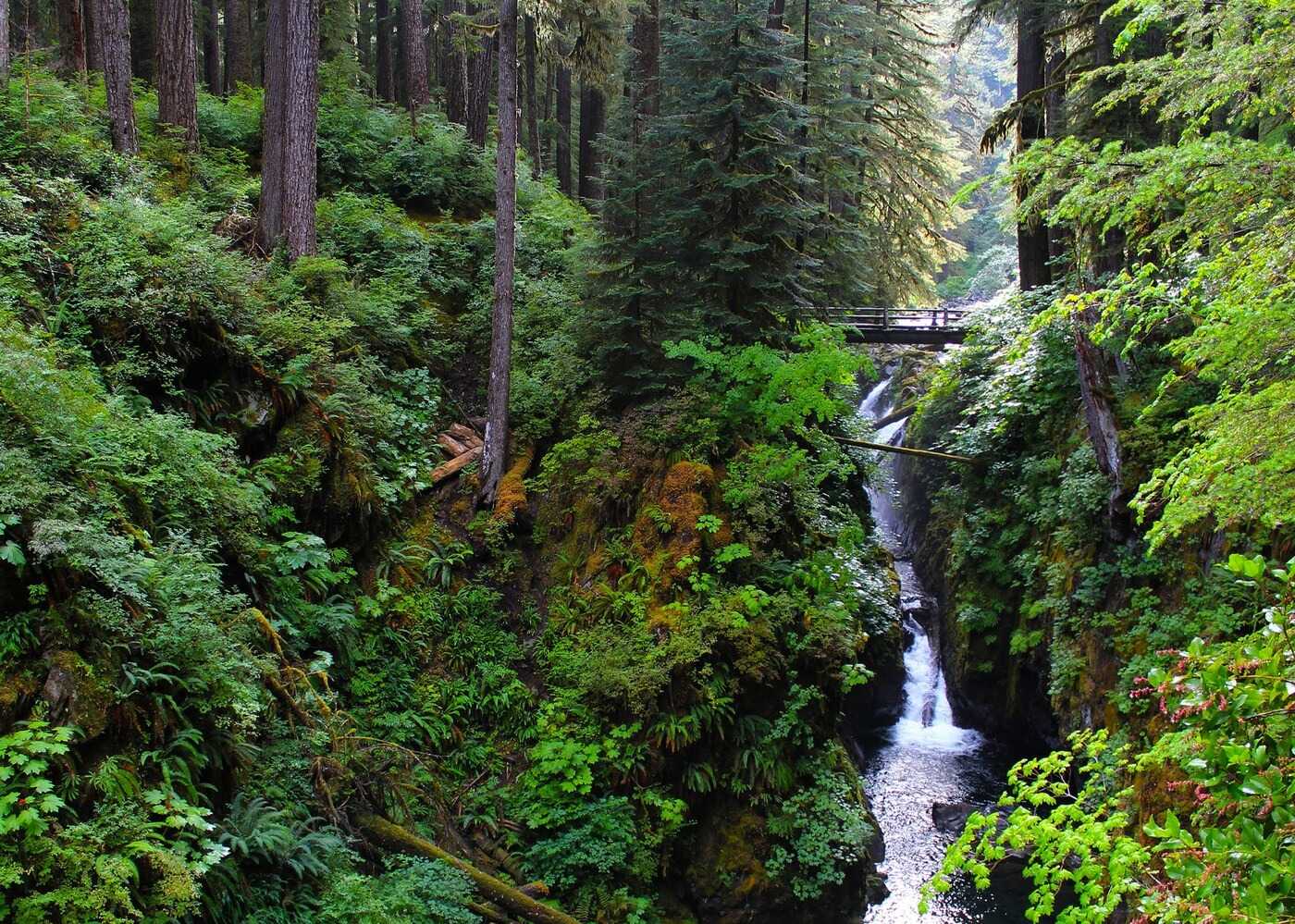 Hidden-Rivers-Of-Washington8217s-Sol-Duc hidden-rivers-of-washingtons-sol-duc