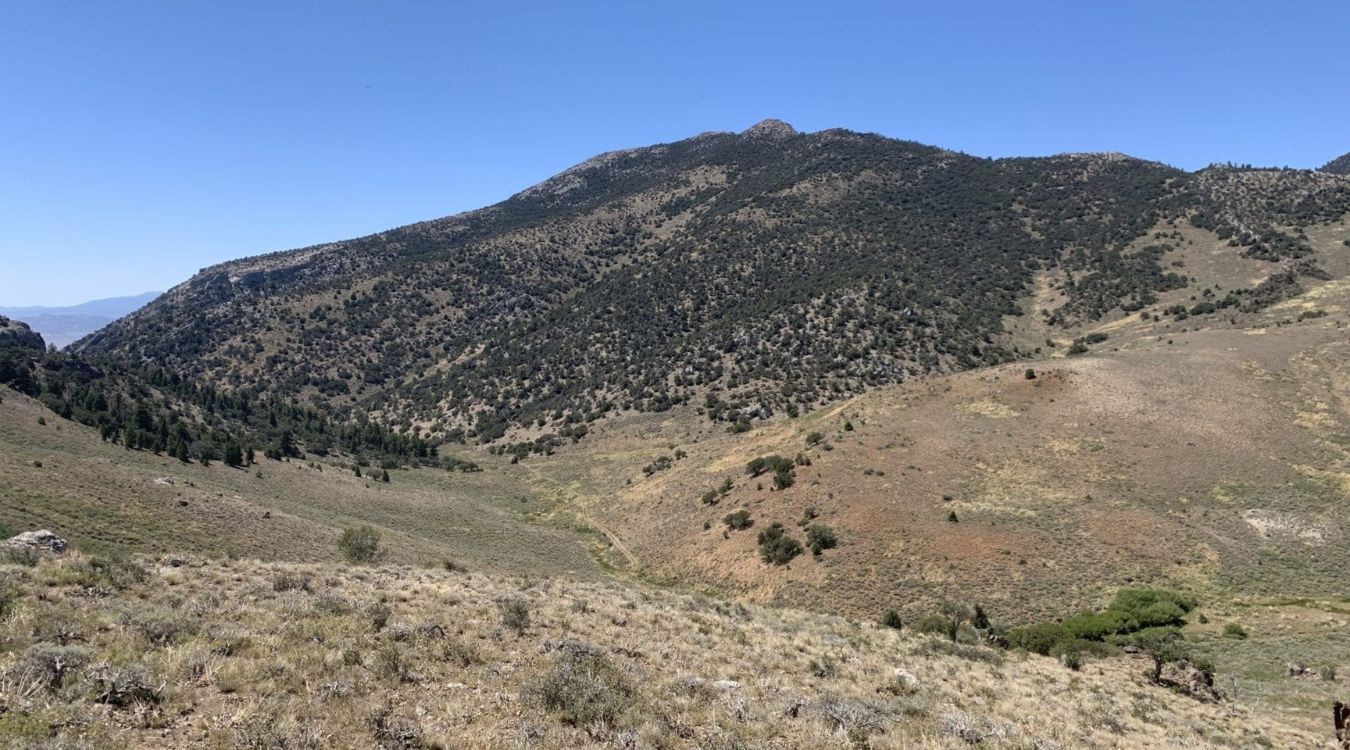 Hidden-Silver-Mines-Of-Nevada8217s-Toiyabe hidden-silver-mines-of-nevadas-toiyabe